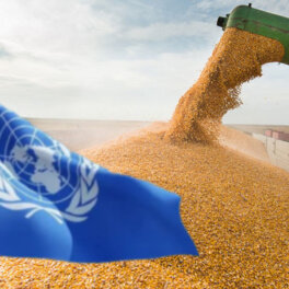 В ООН заявили, что делают все возможное для экспорта продовольствия из РФ и Украины