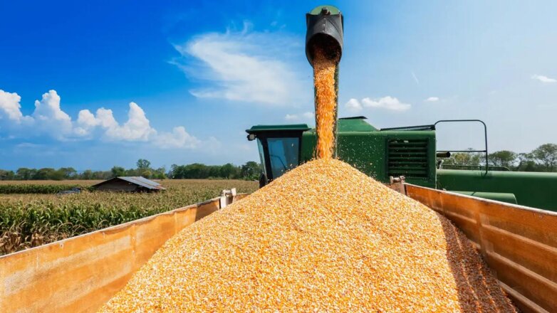 Путин заявил, что Россия может поставить на мировые рынки 50 миллионов тонн зерна