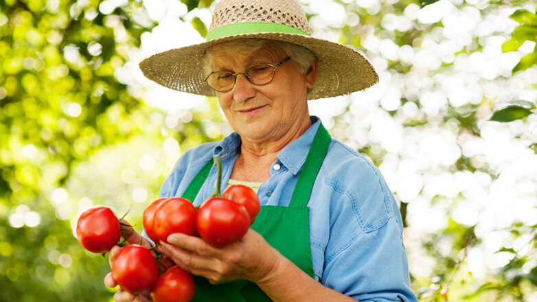 Врач Залетова посоветовала в солнечную погоду есть помидоры для профилактики рака кожи