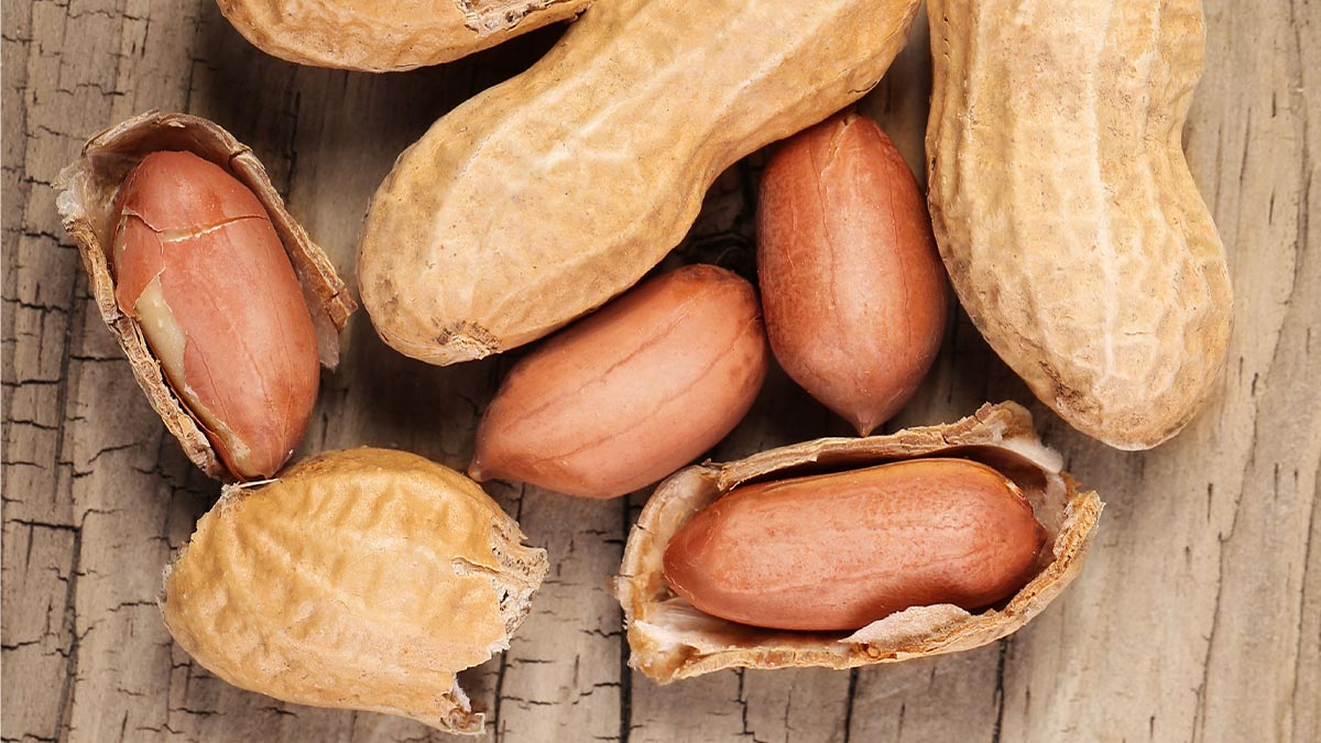 Мифы о еде: польза и вред арахиса, как выбрать вкусный и качественный