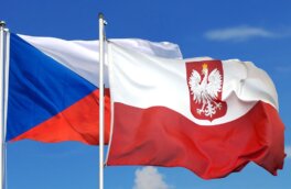 Чехия и Польша усилят сотрудничество в военной помощи Украине