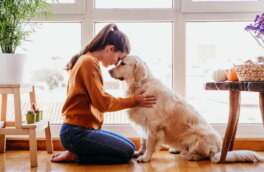 Консультант по поведению животных Рид назвала 6 признаков, что собака вас уважает
