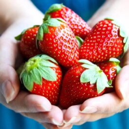 Как выбрать сладкую клубнику: главный признак вкусной ягоды