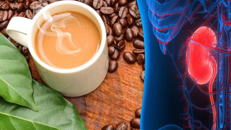 Всего одна чашка кофе в день может снизить риск опасного состояния почек