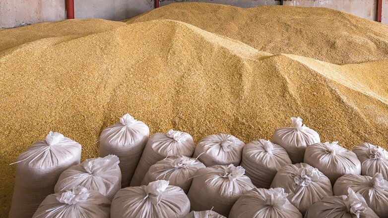 WSJ: ради вывоза зерна с Украины в США обдумывают отмену санкций для Белоруссии