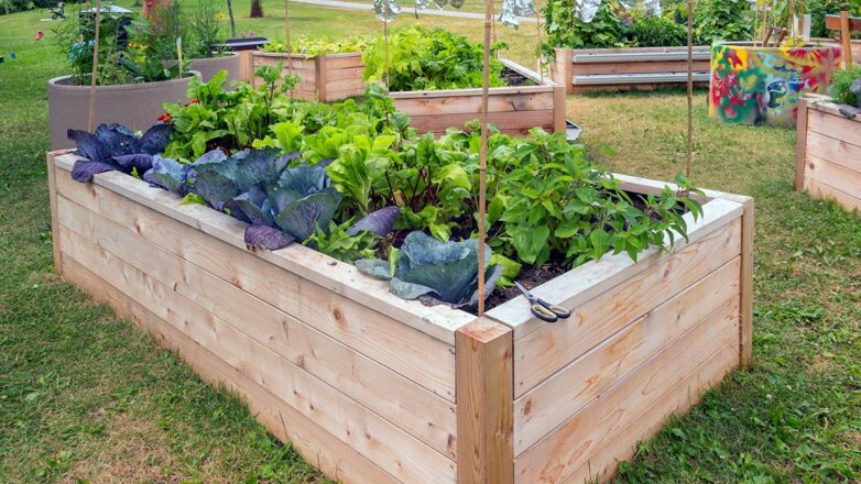 Мини-огород на даче: 7 эффектных способов выращивать овощи и фрукты на маленьком участке