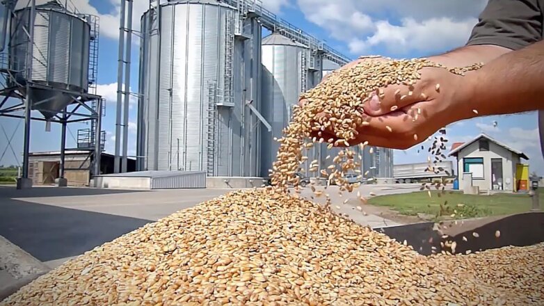 ВТО ждет, что цены на сельхозпродукцию после продления "зерновой сделки" снизятся