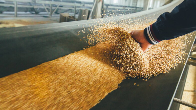 Reuters: власти Бангладеш намерены закупить у России 500 тысяч тонн пшеницы