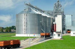 Украине негде хранить больше трети урожая зерновых