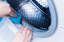 Чем очистить манжету стиральной машины от плесени: простой, но эффективный метод