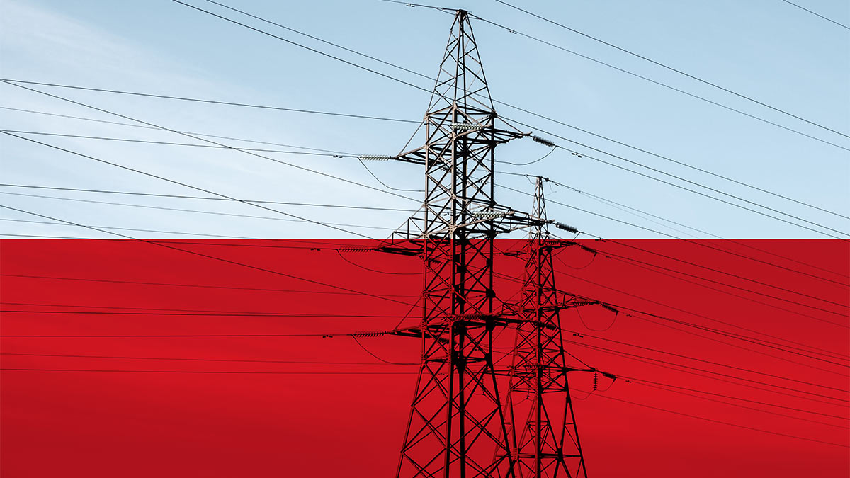Поляков призвали экономить электричество из-за антироссийских санкций