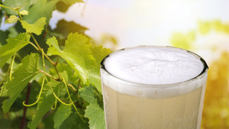 Будем пить: рецепт домашнего кваса из листьев винограда
