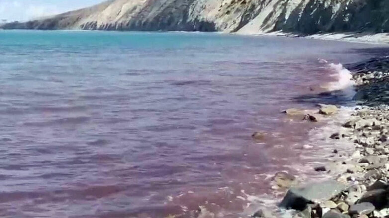 Ученый Сапожников сообщил, что Чёрное море в Анапе покраснело из-за водорослей