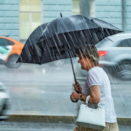В Москве утром в понедельник ожидается сильный дождь