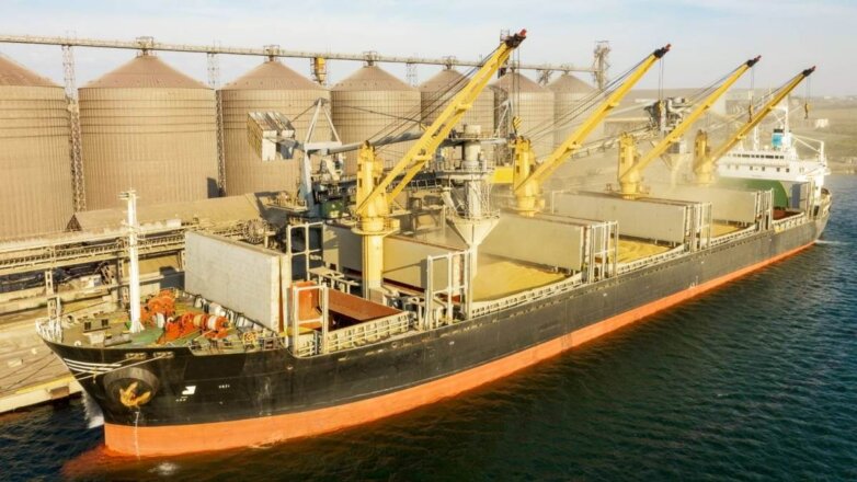 Reuters: Киев попросил Анкару задержать судно с зерном под флагом РФ