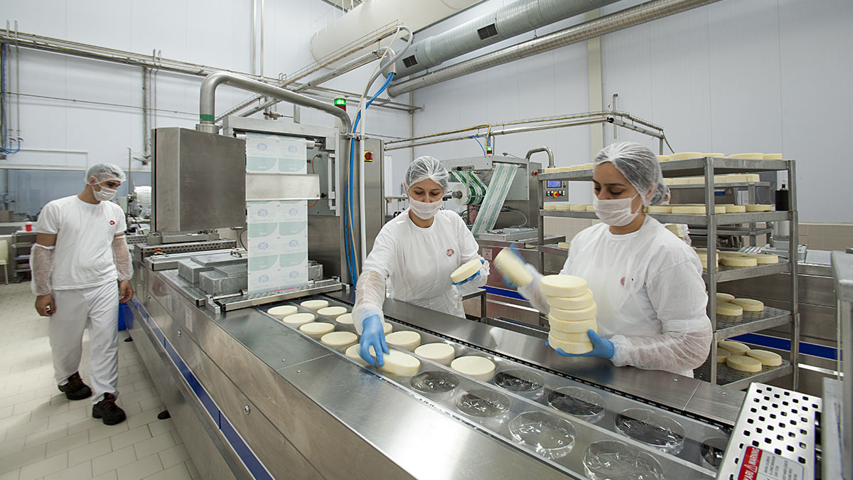 Более 17% производителей сыра и сливочного масла в России работали в июне с нарушениями