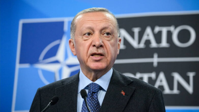 Турция пригрозила заморозить процесс вступления Финляндии и Швеции в НАТО