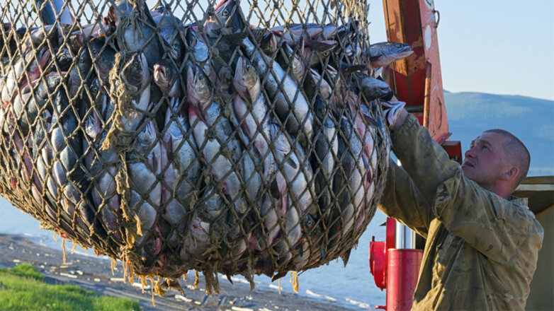 Кабмин РФ одобрил проект о денонсации соглашения с Великобританией о рыболовстве
