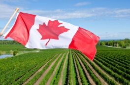 CBC: фермеры в Канаде попросили пересмотреть пошлины на российские удобрения