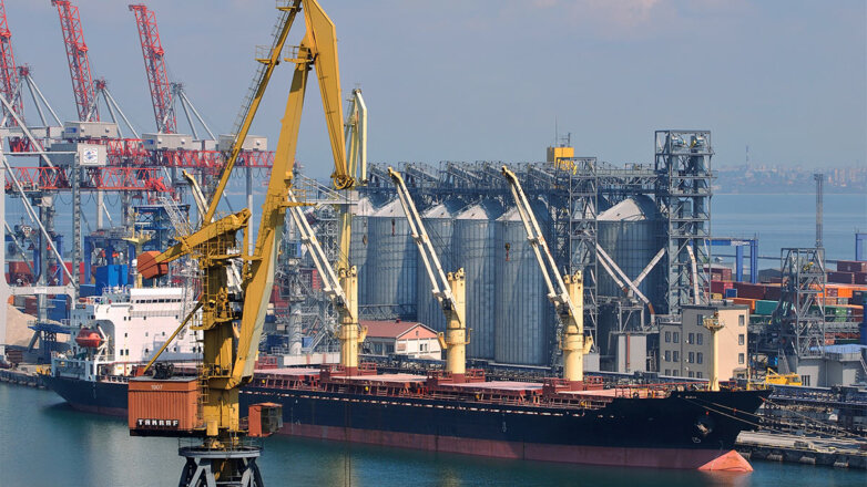 Страны Центральной Европы просят продлить ограничения на импорт украинского зерна