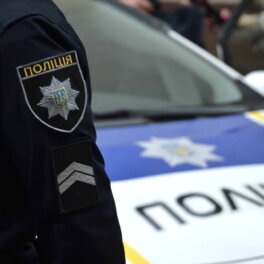 На Украине назвали следующую цель убийцы экс-депутата Рады Фарион