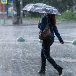 В Москве и области объявили предупреждение о неблагоприятных погодных условиях из-за грозы, ливня и ветра