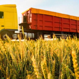 В Казахстане могут ввести временный запрет на ввоз пшеницы автотранспортом