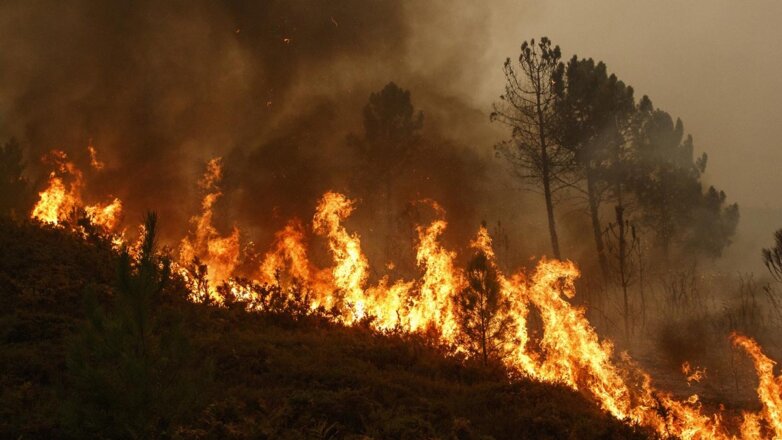 Российских туристов предупредили об аномальной жаре и пожарах в Европе