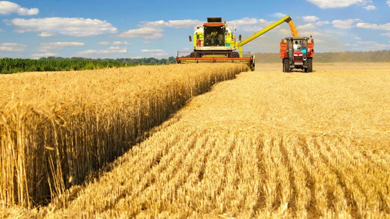 Bloomberg: рекордный урожай сделал Россию лидером на глобальном рынке пшеницы