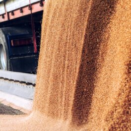 ЕС утвердил "запретительные пошлины" на зерно из России и Белоруссии