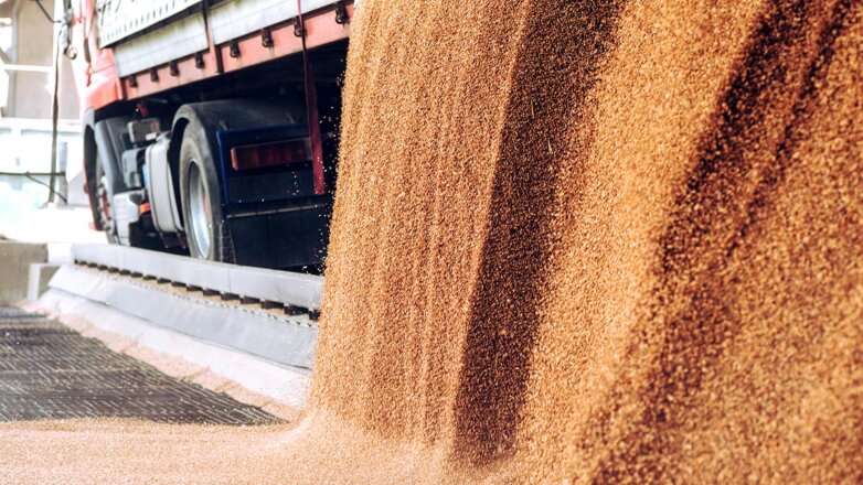 Россия не будет отменять экспортные пошлины на зерно