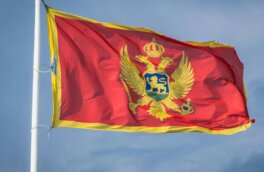 Парламент Черногории одобрил участие военных в миссии поддержки Украине EUMAM