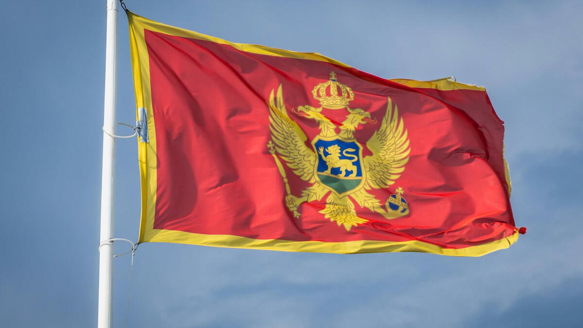Высылку дипломата из Черногории назвали частью гибридной кампании против России