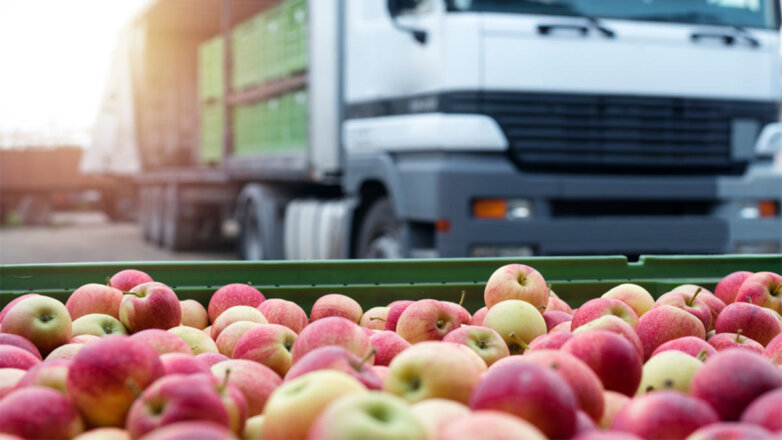 В Молдавии связали с политикой запрет экспорта фруктов и овощей в РФ