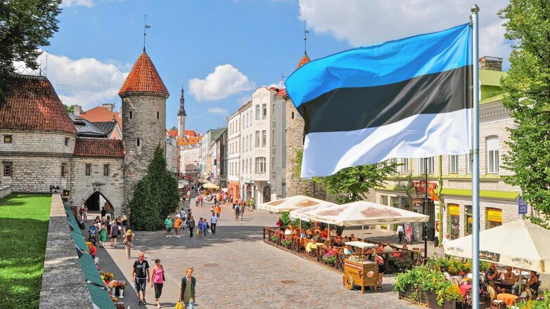 Эстония не станет лишать живущих в стране граждан РФ права голоса на местных выборах