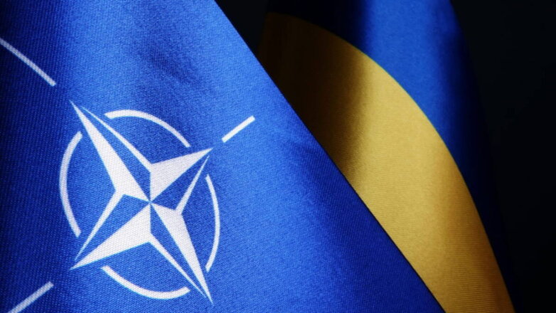 Президент Украины назвал "ерундой" сигнал о частичном участии в НАТО