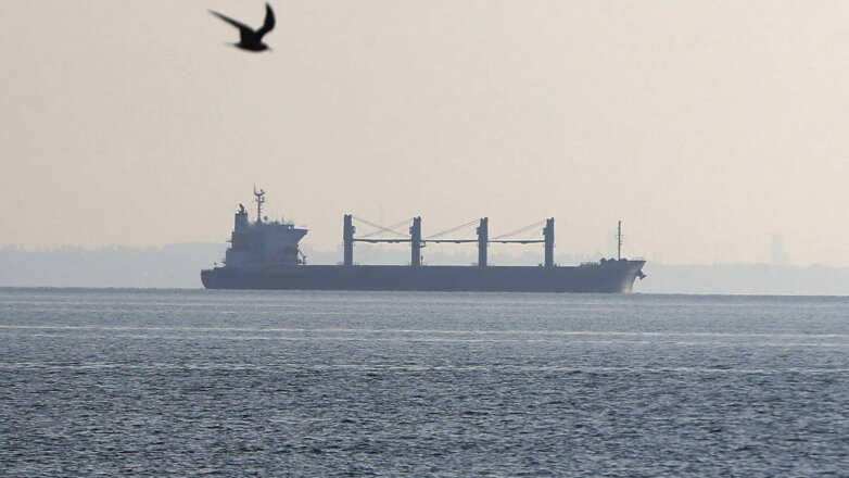 СМИ: в столицу Сомали прибыл корабль с пшеницей из России