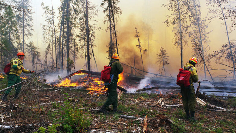 В Рязанской области скрывали реальные масштабы лесных пожаров