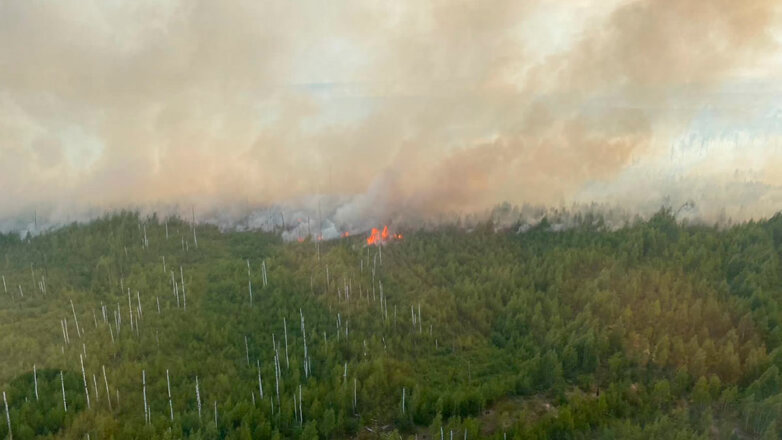 В Рязанской области лесные пожары выросли за сутки на четверть