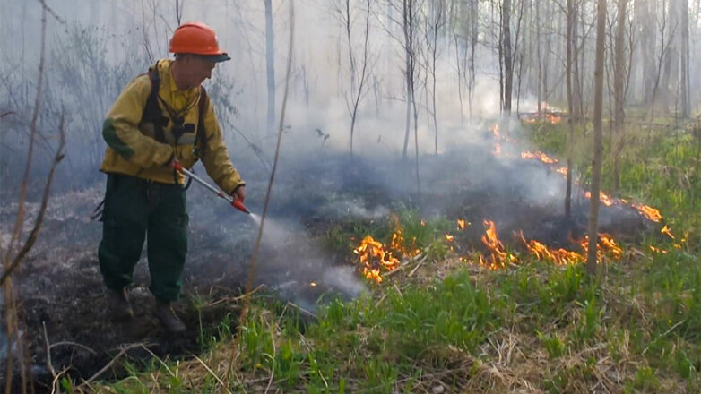 323 тысячи гектаров леса горят в Якутии