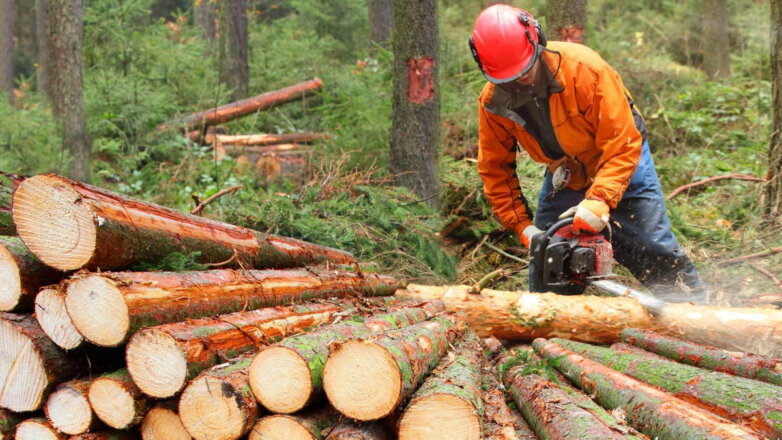 На фоне энергокризиса жители Молдавии стали покупать больше дров