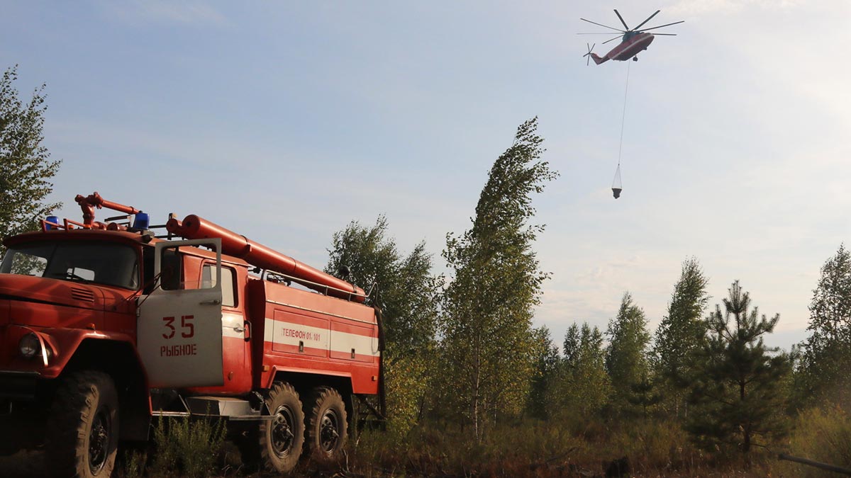 Два очага лесных пожаров локализовали в Рязанской области