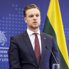 Глава МИД Литвы заявил о плохом положении Украины
