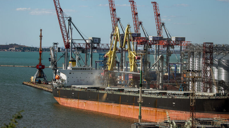 Два сухогруза с зерном вышли из портов Украины