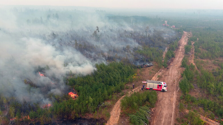 Из-за пожаров в Рязанской области Москва будет находиться в зоне экологического риска