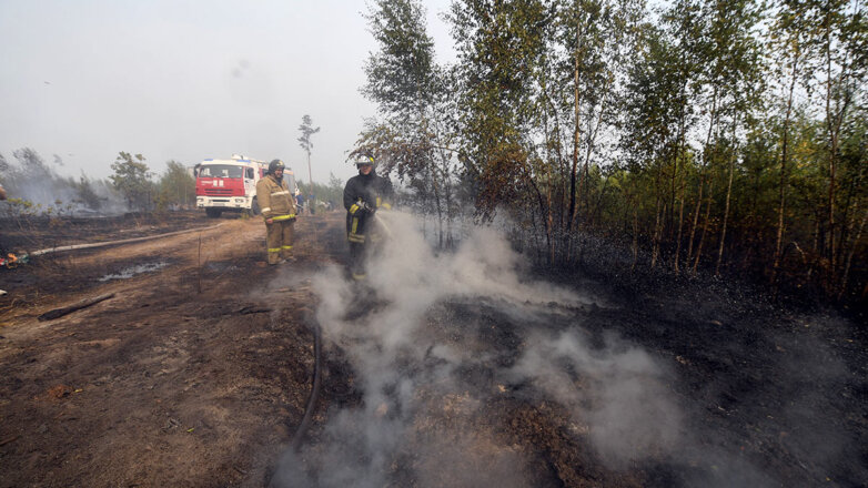 Площадь лесных пожаров в Рязанской области превысила 180 гектаров