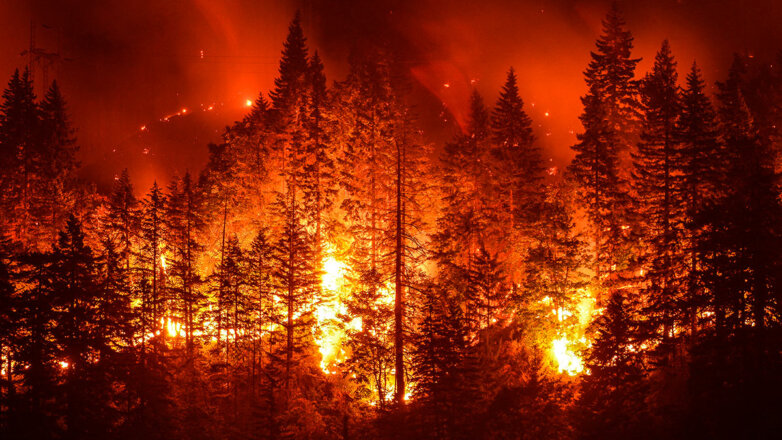 Во Франции сгорели тысячи гектаров леса