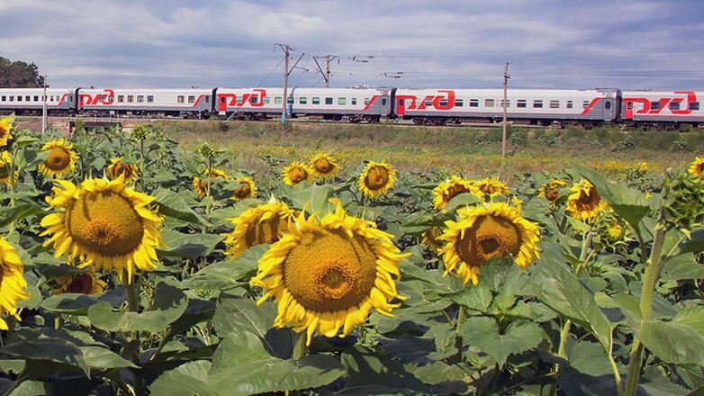 В России могут запустить 3 новых маршрута туристических поездов