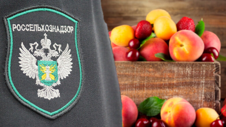 Россия запретила экспорт фруктов из Молдавии из-за карантинных нарушений