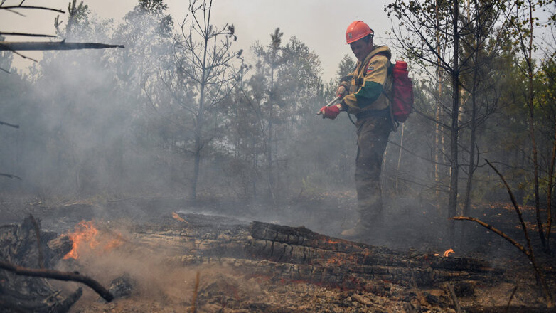 В России за сутки потушили 112 природных пожаров